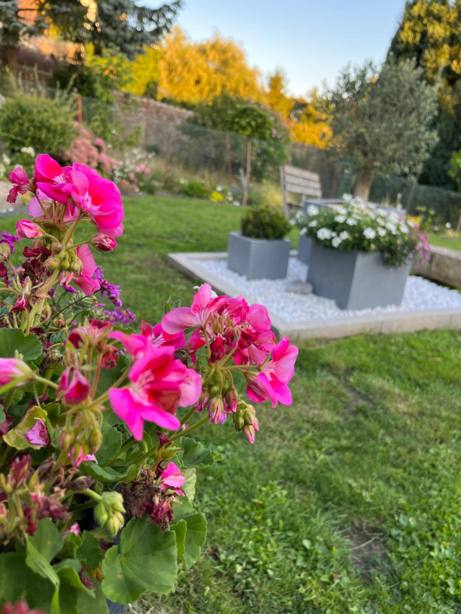 Le Petit Paradis Cassel Εξωτερικό φωτογραφία