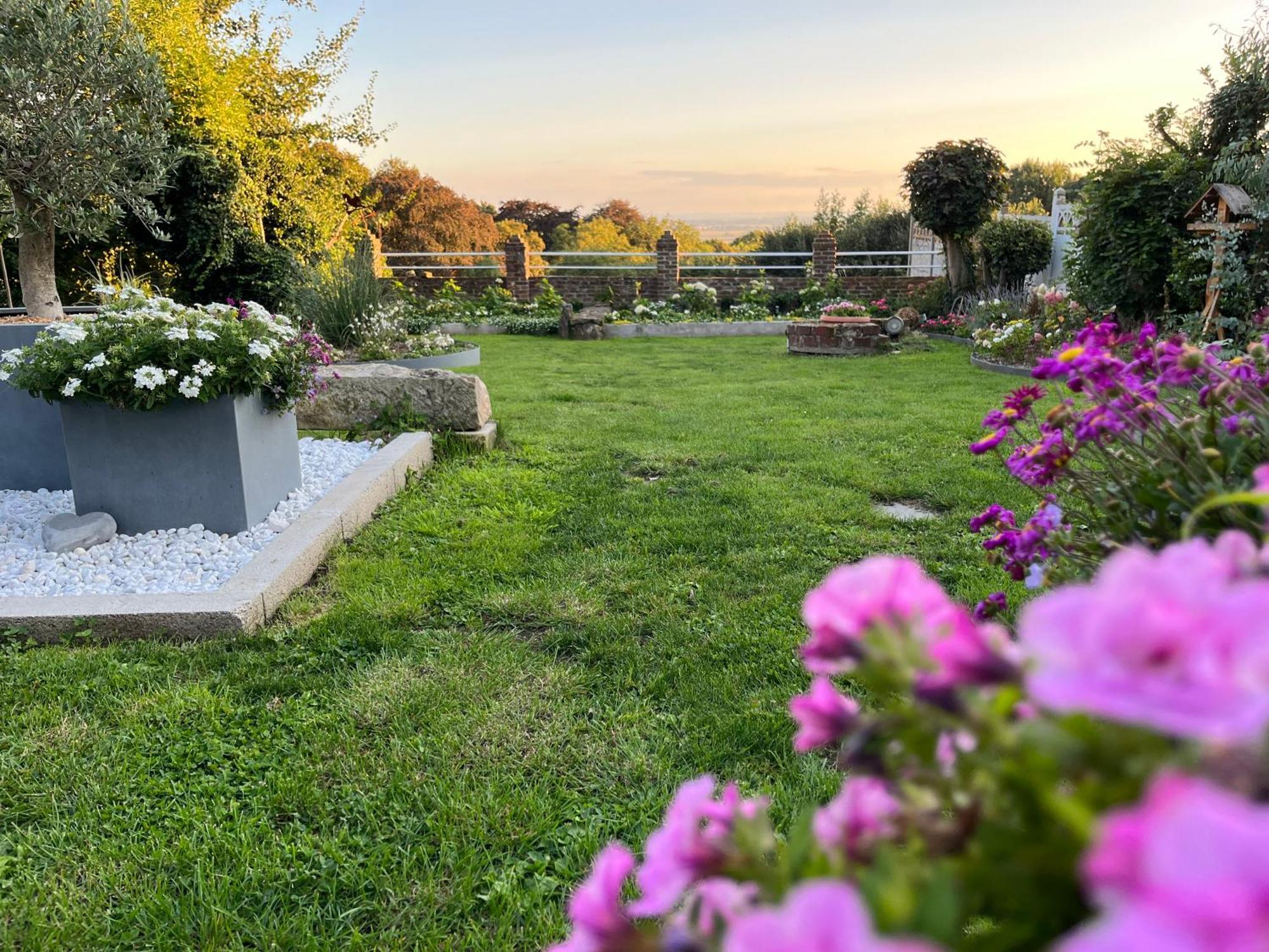 Le Petit Paradis Cassel Εξωτερικό φωτογραφία