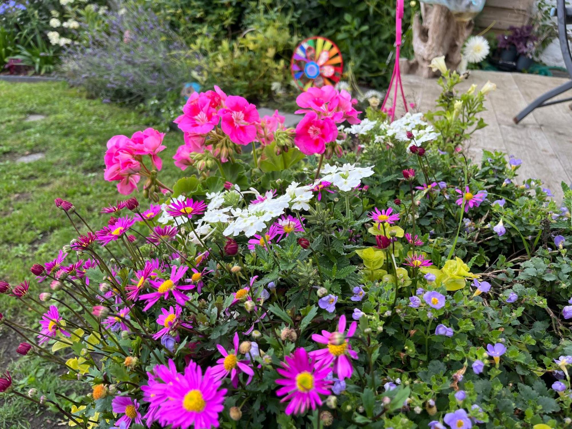 Le Petit Paradis Cassel Εξωτερικό φωτογραφία